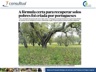 Modo de Produção Biológico de Animais e de Produtos de Origem Vegetal
 