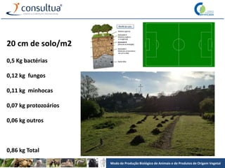 Modo de Produção Biológico de Animais e de Produtos de Origem Vegetal
20 cm de solo/m2
0,5 Kg bactérias
0,12 kg fungos
0,11 kg minhocas
0,07 kg protozoários
0,06 kg outros
0,86 kg Total
 