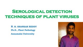 Serological detection
techniques of plant viruses
N. H. SHANKAR REDDY
Ph.D., Plant Pathology
Annamalai University
 