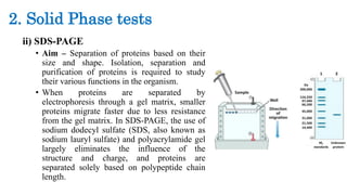 Serological detection techniques of plant viruses | PDF