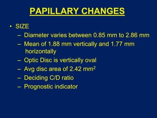 PAPILLARY CHANGES
• SIZE
– Diameter varies between 0.85 mm to 2.86 mm
– Mean of 1.88 mm vertically and 1.77 mm
horizontally
– Optic Disc is vertically oval
– Avg disc area of 2.42 mm2
– Deciding C/D ratio
– Prognostic indicator
 