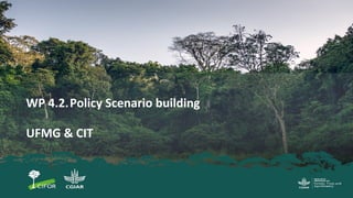 WP 4.2.Policy Scenario building
UFMG & CIT
 
