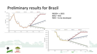 WP 4.2. Policy Scenario building - UFMG & CIT