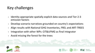 WP 4.2. Policy Scenario building - UFMG & CIT