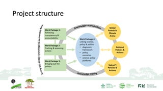 WP 4.2. Policy Scenario building - UFMG & CIT