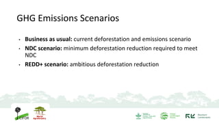 WP 4.2. Policy Scenario building - UFMG & CIT