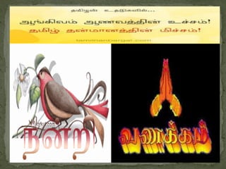 16.12.17 தமிழ் பொதுஅறிவு வினா விடை.pdf