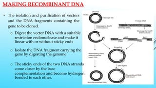 16. A. RECOMBINANT DNA.pptx