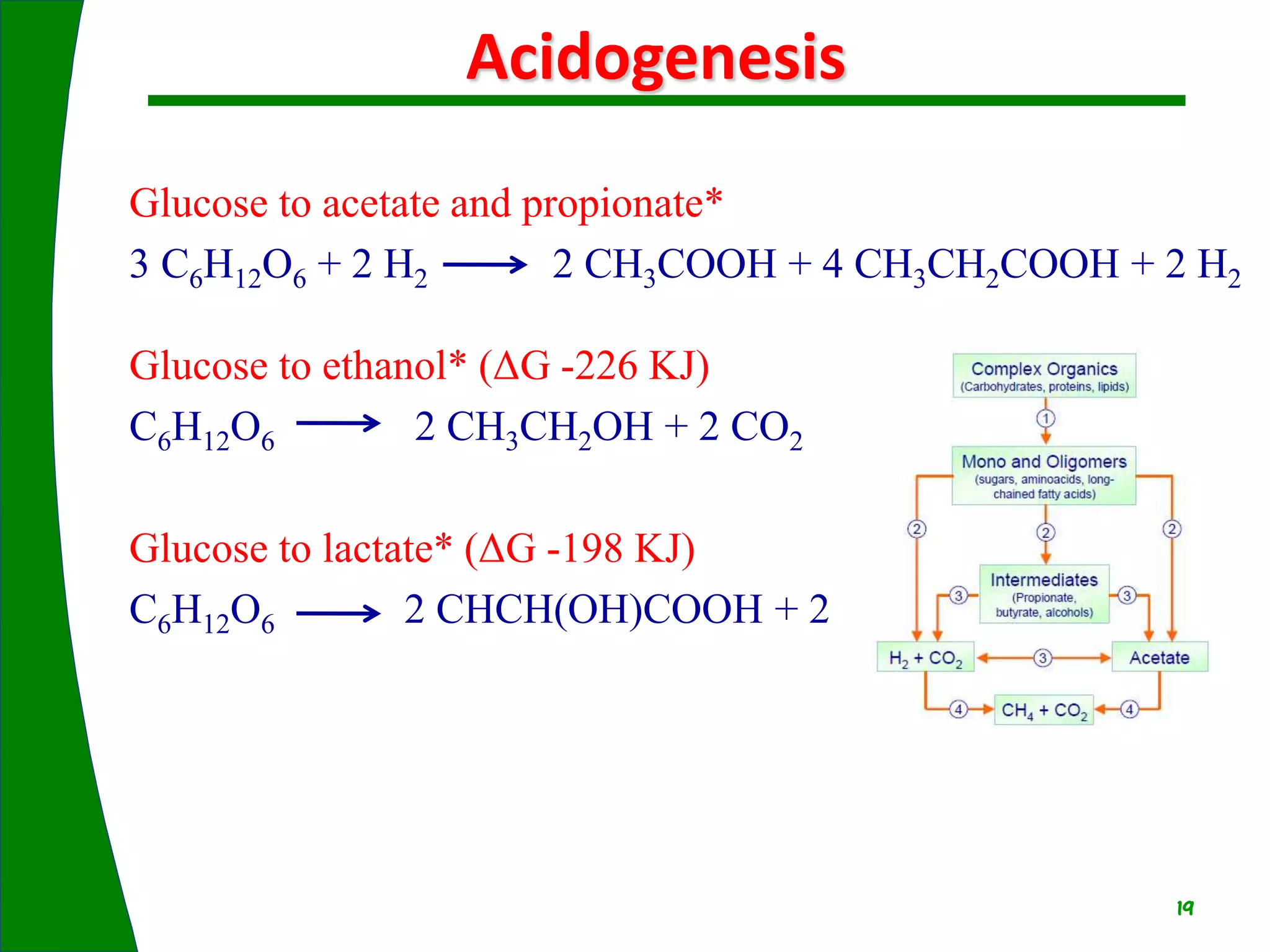 16. MICROBIOLOGY AND BIOCHEMISTRY OF BIOGAS PRODUCTION.ppt