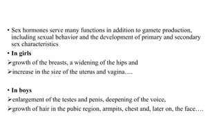 • Sex hormones serve many functions in addition to gamete production,
including sexual behavior and the development of primary and secondary
sex characteristics
• In girls
growth of the breasts, a widening of the hips and
increase in the size of the uterus and vagina….
• In boys
enlargement of the testes and penis, deepening of the voice,
growth of hair in the pubic region, armpits, chest and, later on, the face….
 