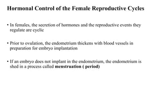 Hormonal Control of the Female Reproductive Cycles
• In females, the secretion of hormones and the reproductive events they
regulate are cyclic
• Prior to ovulation, the endometrium thickens with blood vessels in
preparation for embryo implantation
• If an embryo does not implant in the endometrium, the endometrium is
shed in a process called menstruation ( period)
 