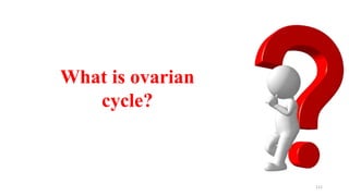 111
What is ovarian
cycle?
 