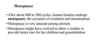 Menopause
•After about 400 to 500 cycles, human females undergo
menopause, the cessation of ovulation and menstruation
•Menopause is very unusual among animals
•Menopause might have evolved to allow a mother to
provide better care for her children and grandchildren
 