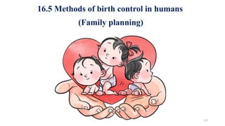122
16.5 Methods of birth control in humans
(Family planning)
 