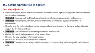 2
16.3 Sexual reproduction in humans
Learning objectives
 Identify the organs, tissues and cells in the male and female human reproductive systems and describe their
functions in reproduction.
 Extended Compare male and female gametes in terms of size, structure, motility and numbers.
 Extended Relate the size, structure, motility and number of sperm and egg cells to their role in
reproduction.
 Describe how the embryo implants into the uterus wall and how structures in the uterus and the placenta
support the developing embryo.
 Extended Describe the functions of the placenta and umbilical cord.
 Outline the growth and development of the human fetus.
 Describe the ante-natal care of pregnant women.
 Describe the processes involved in labour and birth.
 Extended Compare the advantages and disadvantages of breast-feeding and feeding babies with formula
milk.
 