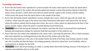 3
Learning outcomes
 Know that the human male reproductive system includes the testes where sperm are made; the sperm ducts
that carry the sperm to the urethra; the prostate gland and seminal vesicles that produce liquid in which the
sperm swim; the penis, which when erect delivers sperm into the vagina of the woman; and the urethra,
which carries the sperm from the sperm ducts to the outside of the body.
 Know that the human female reproductive system includes the ovaries, where the egg cells are made; the
oviducts, which carry the eggs to the uterus and where fertilisation takes place with sperm cells; the uterus,
where the embryo embeds and develops into a fetus; the cervix, where sperm are deposited at the base of the
uterus; and the vagina, where the penis is inserted during sexual intercourse.
 Extended Know that during development, the embryo (and later the fetus) is protected from mechanical
damage and temperature changes by amniotic fluid that surrounds it in the amniotic sac.
 Know that once the embryo has embedded in the uterus wall, it develops the placenta. This is where nutrients
and waste materials are exchanged between the blood of the mother and of the fetus.
 Know that ante-natal care is the care of the mother before the birth of her baby, and includes checks to make
sure she is healthy and that the baby is developing properly, and advice about how to eat healthily, what to
avoid and how to prepare for the birth.
 Extended Know that breast-feeding of a baby is usually better than bottle-feeding, because of the balance of
nutrients and antibodies that are in the milk.
 