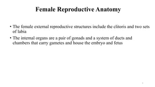 Female Reproductive Anatomy
• The female external reproductive structures include the clitoris and two sets
of labia
• The internal organs are a pair of gonads and a system of ducts and
chambers that carry gametes and house the embryo and fetus
5
 