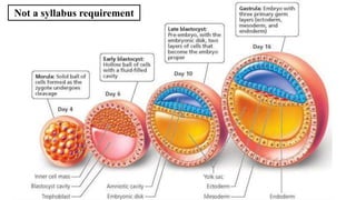 51
Not a syllabus requirement
 