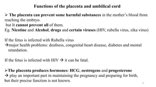63
Functions of the placenta and umbilical cord
 The placenta can prevent some harmful substances in the mother’s blood from
reaching the embryo.
but It cannot prevent all of them.
Eg. Nicotine and Alcohol, drugs and certain viruses (HIV, rubella virus, zika virus)
If the fetus is infected with Rubella virus
major health problems: deafness, congenital heart disease, diabetes and mental
retardation.
If the fetus is infected with HIV  it can be fatal.
The placenta produces hormones: HCG, oestrogens and progesterone
 play an important part in maintaining the pregnancy and preparing for birth,
but their precise function is not known.
 