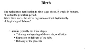 • Labour typically has three stages
• Thinning and opening of the cervix, or dilation
• Expulsion or delivery of the baby
• Delivery of the placenta
The period from fertilisation to birth takes about 38 weeks in humans.
 called the gestation period.
When birth starts, the uterus begins to contract rhythmically.
 beginning of ‘labour’.
Birth
77
 