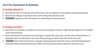 95
16.4 Sex hormones in humans
Learning objectives
 Describe the roles of oestrogen and testosterone in the development of secondary sexual characteristics.
 Describe the changes in the uterus and ovaries during the menstrual cycle.
 Extended Explain the role of hormones in controlling the menstrual cycle.
Learning outcomes
 Know that sex hormones, testosterone in men and oestrogen in women, control the development of secondary
sexual characteristics.
 Know that during the menstrual cycle and egg is released from the ovary, and the uterus lining thickens. If
fertilisation does not take place, the uterus lining and egg are shed at the start of the next cycle.
 Extended Know that the hormones oestrogen and progesterone from the ovaries, and luteinising hormone
(LH) and follicle-stimulating hormone (FSH) from the pituitary gland, control the menstrual cycle.
 