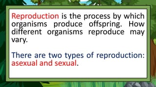 Reproduction is the process by which
organisms produce offspring. How
different organisms reproduce may
vary.
There are two types of reproduction:
asexual and sexual.
 