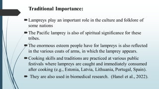 Traditional Importance:
Lampreys play an important role in the culture and folklore of
some nations
The Pacific lamprey is also of spiritual significance for these
tribes.
The enormous esteem people have for lampreys is also reflected
in the various coats of arms, in which the lamprey appears.
Cooking skills and traditions are practiced at various public
festivals where lampreys are caught and immediately consumed
after cooking (e.g., Estonia, Latvia, Lithuania, Portugal, Spain).
 They are also used in biomedical research. (Hanel et al., 2022).
 