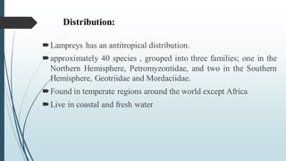 Distribution:
Lampreys has an antitropical distribution.
approximately 40 species , grouped into three families; one in the
Northern Hemisphere, Petromyzontidae, and two in the Southern
Hemisphere, Geotriidae and Mordaciidae.
Found in temperate regions around the world except Africa
Live in coastal and fresh water
 