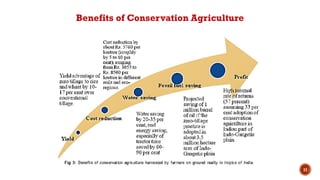 11
Benefits of Conservation Agriculture
 