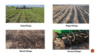 15
Strip Tillage Ridge Tillage
Mulch Tillage Vertical Tillage
 
