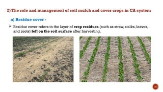 17
 Residue cover refers to the layer of crop residues (such as straw, stalks, leaves,
and roots) left on the soil surface after harvesting.
a) Residue cover -
2) The role and management of soil mulch and cover crops in CA system
 
