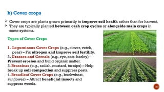 18
b) Cover crops
 Cover crops are plants grown primarily to improve soil health rather than for harvest.
 They are typically planted between cash crop cycles or alongside main crops in
some systems.
Types of Cover Crops
1. Leguminous Cover Crops (e.g., clover, vetch,
peas) – Fix nitrogen and improve soil fertility.
2. Grasses and Cereals (e.g., rye, oats, barley) –
Prevent erosion and build organic matter.
3. Brassicas (e.g., radish, mustard, turnips) – Help
break up soil compaction and suppress pests.
4. Broadleaf Cover Crops (e.g., buckwheat,
sunflower) – Attract beneficial insects and
suppress weeds.
 