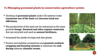 29
 Growing of perennial plants under CA systems make
maximum use of the land and increase land-use
efficiency.
 The productivity of the land can be enhanced as the trees
provide forage, firewood and other organic materials
that are recycled and used as natural fertilizers.
 Increased the yields of crops and also plants.
 Protect and stabilize ecosystems and promote resilient
cropping and farming systems to minimize the risk
during extreme climatic events.
6 ) Managing perennial plants in conservation agriculture system
 
