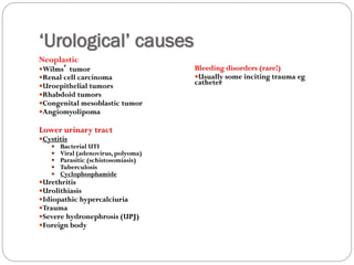 ‘Urological’ causes
Neoplastic
Wilms’ tumor
Renal cell carcinoma
Uroepithelial tumors
Rhabdoid tumors
Congenital mesoblastic tumor
Angiomyolipoma
Lower urinary tract
Cystitis
 Bacterial UTI
 Viral (adenovirus, polyoma)
 Parasitic (schistosomiasis)
 Tuberculosis
 Cyclophosphamide
Urethritis
Urolithiasis
Idiopathic hypercalciuria
Trauma
Severe hydronephrosis (UPJ)
Foreign body
Bleeding disorders (rare!)
Usually some inciting trauma eg
catheter
 