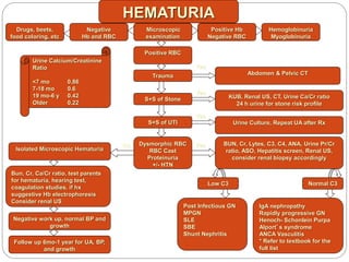 HEMATURIA
Drugs, beets,
food coloring, etc
Bun, Cr, Ca/Cr ratio, test parents
for hematuria, hearing test,
coagulation studies, if hx
suggestive Hb electrophoresis
Consider renal US
KUB, Renal US, CT, Urine Ca/Cr ratio
24 h urine for stone risk profile
Abdomen & Pelvic CT
Negative
Hb and RBC
Hemoglobinuria
Myoglobinuria
Positive Hb
Negative RBC
Microscopic
examination
Positive RBC
IgA nephropathy
Rapidly progressive GN
Henoch- Schonlein Purpa
Alport’s syndrome
ANCA Vasculitis
* Refer to textbook for the
full list
S+S of Stone
Trauma
Urine Calcium/Creatinine
Ratio
<7 mo 0.86
7-18 mo 0.6
19 mo-6 y 0.42
Older 0.22
S+S of UTI
Dysmorphic RBC
RBC Cast
Proteinuria
+/- HTN
Urine Culture, Repeat UA after Rx
Post Infectious GN
MPGN
SLE
SBE
Shunt Nephritis
Low C3
BUN, Cr, Lytes, C3, C4, ANA, Urine Pr/Cr
ratio, ASO, Hepatitis screen, Renal US,
consider renal biopsy accordingly
Isolated Microscopic Hematuria
Negative work up, normal BP and
growth
Follow up 6mo-1 year for UA, BP,
and growth
Normal C3
Yes
Yes
No
Yes
Yes
 