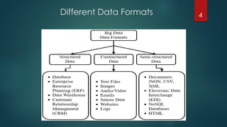 Data Format Science Computer Organization data formats lec 12.pptx