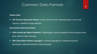 Computer Organization data formats lec 12.pptx