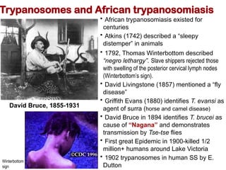 Winterbutton Sign Comprehensive Overview of Trypanosomes and African Trypanosomiasis ...