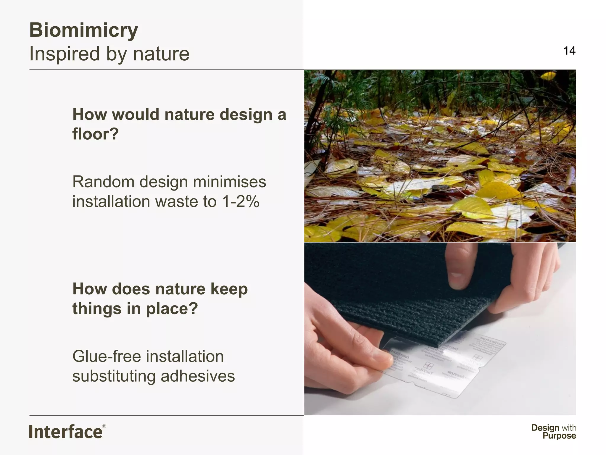 Biomimicry
Inspired by nature               14




    How would nature design a
    floor?

    Random design minimises
    installation waste to 1-2%




    How does nature keep
    things in place?

    Glue-free installation
    substituting adhesives
 