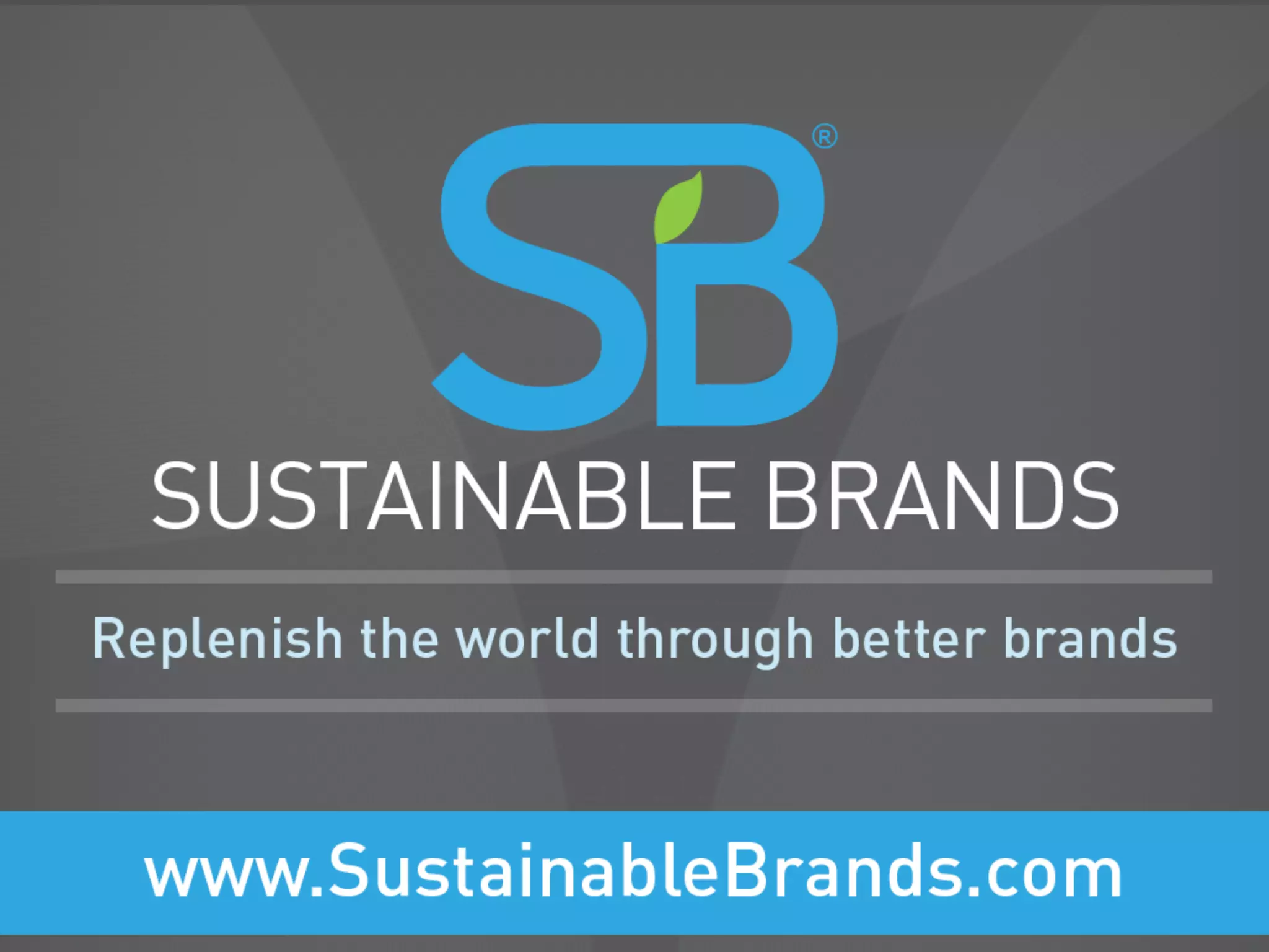 Best Practices in Integrating Sustainability into the Product Design Process - Chris Sherwin et. al