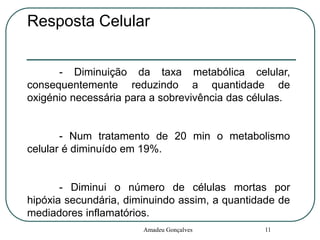 Resposta Celular
- Diminuição da taxa metabólica celular,
consequentemente reduzindo a quantidade de
oxigénio necessária para a sobrevivência das células.

- Num tratamento de 20 min o metabolismo
celular é diminuído em 19%.

- Diminui o número de células mortas por
hipóxia secundária, diminuindo assim, a quantidade de
mediadores inflamatórios.
Amadeu Gonçalves

11

 