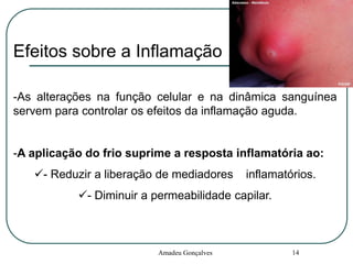 Efeitos sobre a Inflamação
-As alterações na função celular e na dinâmica sanguínea
servem para controlar os efeitos da inflamação aguda.

-A aplicação do frio suprime a resposta inflamatória ao:

- Reduzir a liberação de mediadores

inflamatórios.

- Diminuir a permeabilidade capilar.

Amadeu Gonçalves

14

 