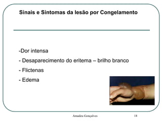 Sinais e Sintomas da lesão por Congelamento

-Dor intensa
- Desaparecimento do eritema – brilho branco
- Flictenas

- Edema

Amadeu Gonçalves

18

 
