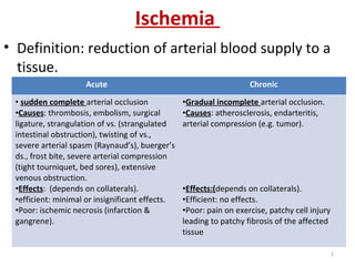 Ischemia
• Definition: reduction of arterial blood supply to a
tissue.
Acute Chronic
• sudden complete arterial occlusion
•Causes: thrombosis, embolism, surgical
ligature, strangulation of vs. (strangulated
intestinal obstruction), twisting of vs.,
severe arterial spasm (Raynaud’s), buerger’s
ds., frost bite, severe arterial compression
(tight tourniquet, bed sores), extensive
venous obstruction.
•Effects: (depends on collaterals).
•efficient: minimal or insignificant effects.
•Poor: ischemic necrosis (infarction &
gangrene).
•Gradual incomplete arterial occlusion.
•Causes: atherosclerosis, endarteritis,
arterial compression (e.g. tumor).
•Effects:(depends on collaterals).
•Efficient: no effects.
•Poor: pain on exercise, patchy cell injury
leading to patchy fibrosis of the affected
tissue
1
 
