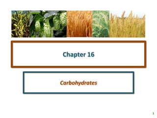 1
Chapter 16
Carbohydrates
 