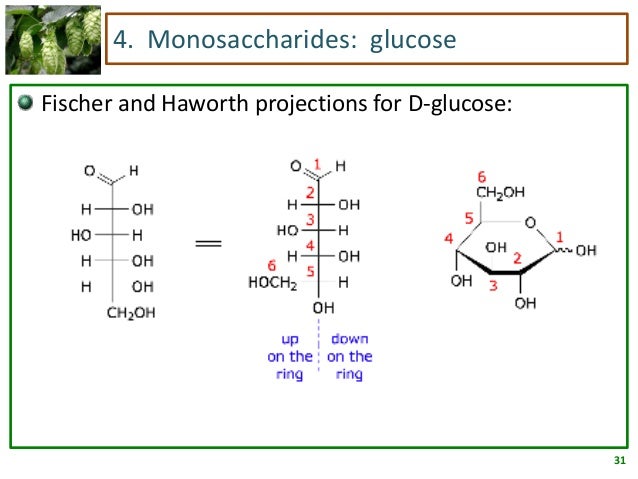 structure d-fructose cyclic Carbohydrates structure d-fructose cyclic Carbohydrates