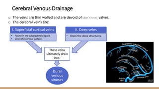 o The veins are thin walled and are devoid of (don’t have) valves.
o The cerebral veins are:
• Found in the subarachnoid space
• Drain the cortical surface
I. Superficial cortical veins II. Deep veins
• Drain the deep structures
These veins
ultimately drain
into:
Dural
venous
sinuses
Cerebral Venous Drainage
 