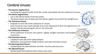 o The Superior Sagittal Sinus
• Lies along the superior border of the falx cerebri and empties into the confluence of sinuses.
o The Inferior Sagittal Sinus
• Lies in the inferior border of the falx cerebri.
• The great cerebral vein of Galen joins the inferior sagittal sinus to form the straight sinus.
o The Transverse Sinuses
• Originate on each side of the confluence of sinuses.
• Each transverse sinus travels laterally, and curves downward to form the sigmoid sinus that
empties into the internal jugular vein on the same side.
o The Confluence of Sinuses
• At the confluence of sinuses, the superior sagittal, straight, transverse, and occipital .
sinuses join.
o The Cavernous Sinuses
• Located on each side of the sphenoid bone.
• Ophthalmic and superficial middle cerebral veins drain into these sinuses.
o The Sphenoparietal Sinuses
• Located below the sphenoid bone and drain into the cavernous sinus.
o The Sigmoid Sinuses
• Receive blood from posterior dural venous sinus veins.
Only on the boy’s slides
Cerebral sinuses
 