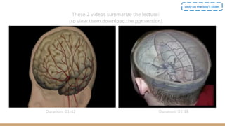 These 2 videos summarize the lecture:
(to view them download the ppt version)
Duration: 01:42 Duration: 01:18
Only on the boy’s slides
 