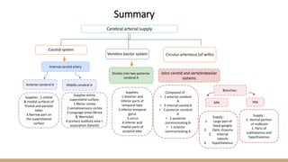 Cerebral arterial supply
Carotid system
Vertebro basilar system Circulus arteriosus (of willis)
Divides into two posterior
cerebral A
Middle cerebral A
Anterior cerebral A
Supplies : 1.orbital
& medial surfaces of
frontal and parietal
lobes
3.Narrow part on
the superolateral
surface
Supplies entire
superolatral surface:
1.Motor cortex
2.somatosensory cortex
3.Language areas (Broca
& Wernicke)
4.primary auditory area +
association (heschl)
Supplies:
1.Anterior and
inferior parts of
temporal lobe
2.Inferior temporal
gyrus
3.uncus
4.Inferior and
medial parts of
occipital lobe
Internal carotid artery
Joins carotid and vertebrobasilar
systems
Composed of :
• 2 anterior cerebral
A
• 2 internal carotid A
• 2 posterior cerebral
A
• 2 posterior
communicating A
• 1 anterior
communicating A
Branches :
APA
Supply :
1. Large part of
basal ganglia
2. Optic chiasma
3. Internal
capsule
4. hypothalamus
PPA
Supply :
1. Ventral portion
of midbrain
2. Parts of
subthalamus and
hypothalamus
Summary
 